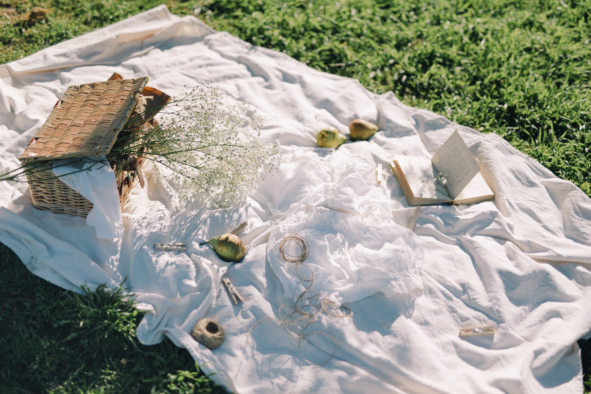 white picnic blanket on grass